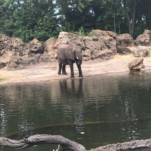 Meet your Posher, April